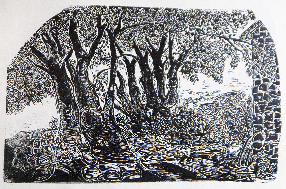 wood engraving by lyn may 